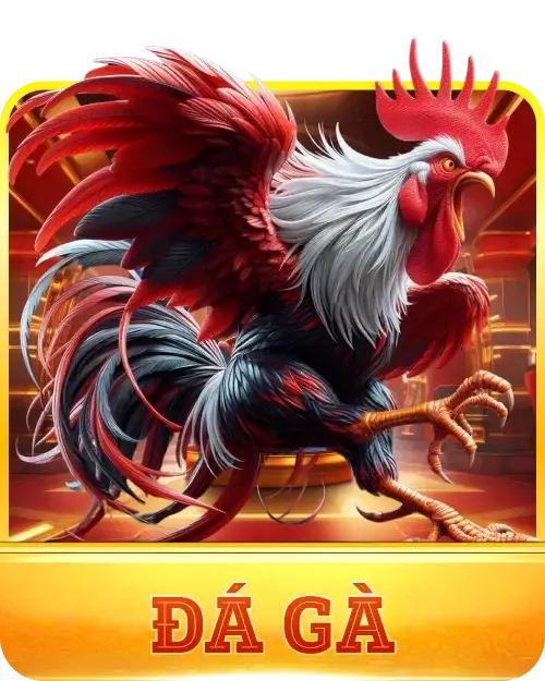 Đá gà 68Win