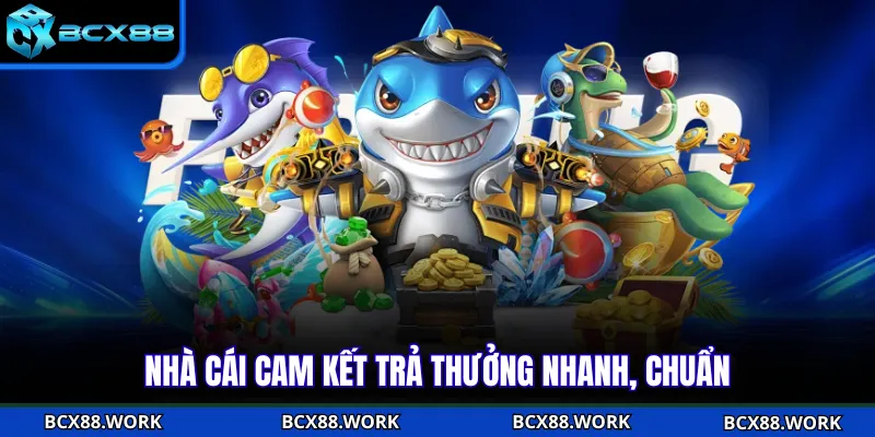 Nhà cái cam kết trả thưởng nhanh, chuẩn