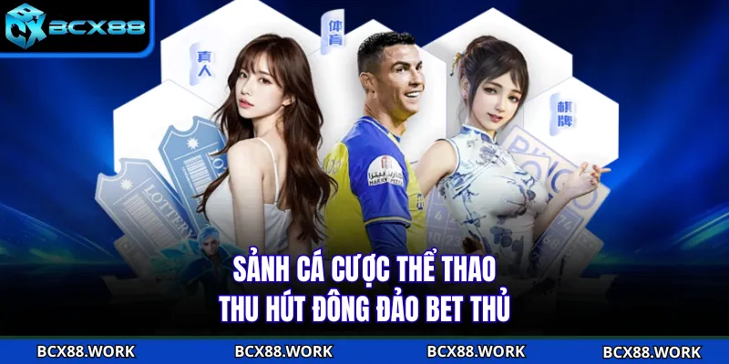 Sảnh cá cược thể thao thu hút đông đảo bet thủ